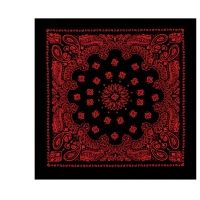 Rothco Trainmen Bandana