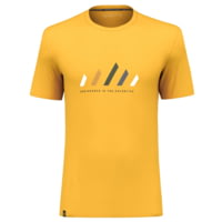 Salewa Pure Stripes Dry T-Shirt - Men's