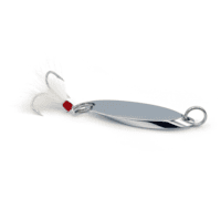 Name