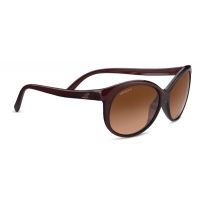 Serengeti Caterina Sunglasses - Men's