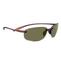 Serengeti Nuvino Sunglasses