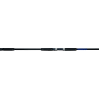 Shakespeare Tidewater Spinning Rod, 2 Piece, Medium, 1-4oz Lures, 10 lb-25lb, 5 Guides