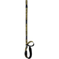 Singing Rock Fix Plus Leash