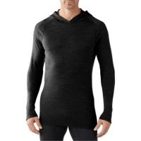 Smartwool NTS 250 Hoody - Mens