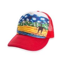 Smartwool Trucker Art Scene Hat