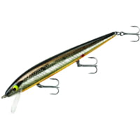 Smithwick Perfect 10 Rogue Jerkbait 5.5in