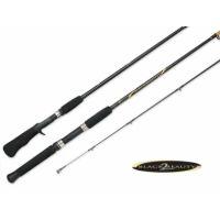 South Bend Black Beauty 2 Bigwater Casting Fishing Rod