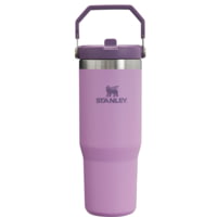 Stanley The IceFlow Flip Straw Tumbler