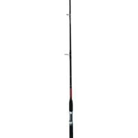 Star Rod, Aerial Boat Spinning Rod, 1 Piece, Heavy 20-30lb, 3/4 - 2-1/4oz Lures, Eva Grips with Gimbal