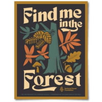 The Landmark Project Find Me in the Forest Poster