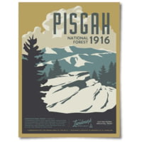 The Landmark Project Pisgah National Forest Poster