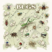 The Printed Image Nature Facts Bandanas NTN08477