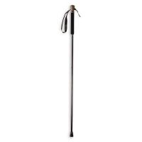 Tracks Lite Staff - 48 Inch c30-48i--