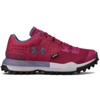 Under Armour Newell Ridge Low GTX Hiking Shoe - Women's