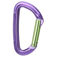 Wild Country Climbing Session Straight Gate Carabiners