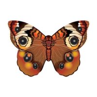 WindNSun Microbutterfly - Buckeye