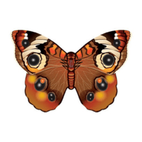 Name