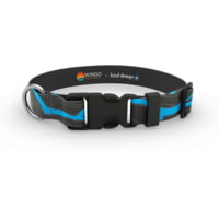 Wingo Outdoors Dog Collar - Kind Design