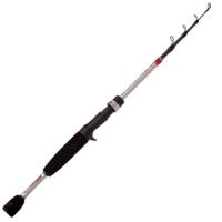 Name