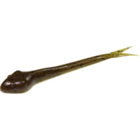 Zoom Fluke Tail Goby Dropshot Bait