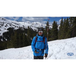 Backcountry Access Stealth 330 Avalanche Probe — CampSaver