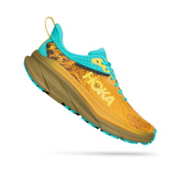 Hoka Challenger ATR 7 GTX Trailrunning Shoes - Mens, Golden  display picture 3
