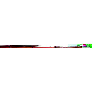BNM Fishing TL Rigged 2 Piece Cane Pole TL102  CampSaver