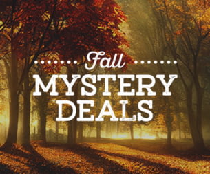 Snow Gear Outlet Deals