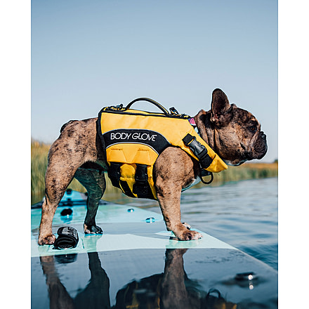 Body Glove Dog Life Vest for Swimming and Safety - Yellow 9BBE76F1, XS, Yellow, GOLBGPFD-YLW-XS