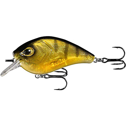 Rapala Flatty Daddy Flat Sided Crankbait 2.5in, 1/2oz, Clear Perch, 2.5in, FD65-6-65