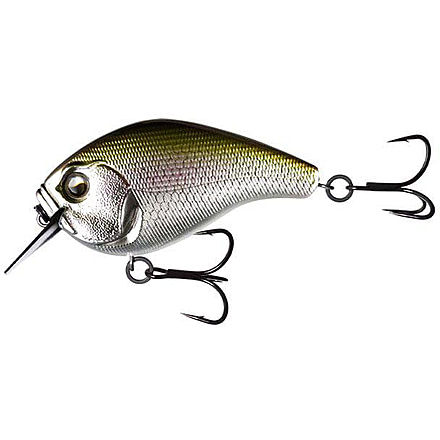 Rapala Scamp Square Bill, 3/4oz, Epic Shad, 2.5in, E-SC25-ES