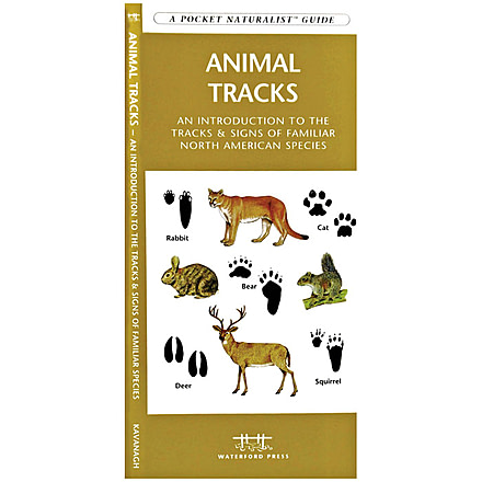 Pocket Naturalist Extreme Heat Survival 9781583558591