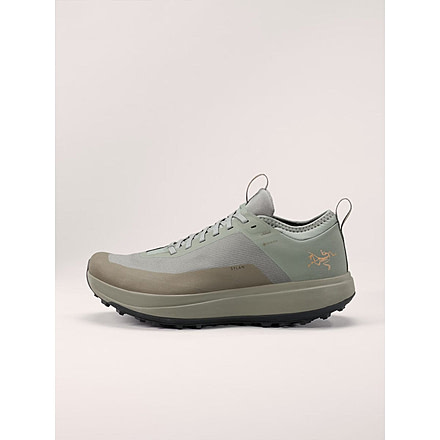 Arcteryx Arcteryx Mens Sylan GTX Running Shoe, X000009601094-Forage/Tatsu-8.5