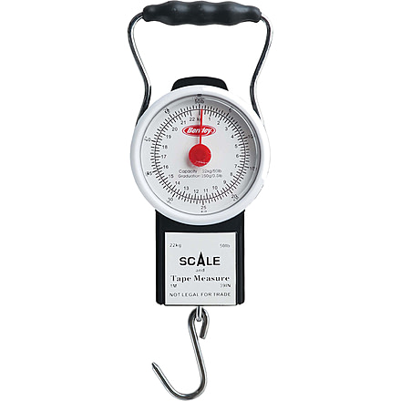 Berkley Fish Scale w/Tape 176776