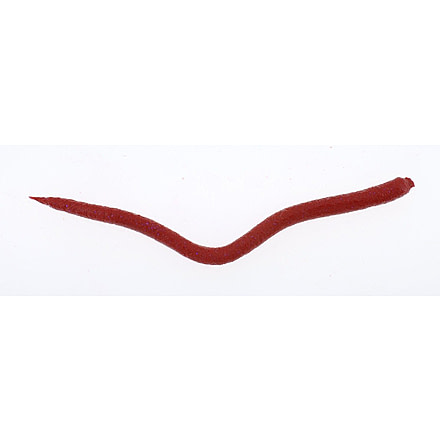 Berkley Gulp! Saltwater Extruded Bloodworm Soft Bait, Bloody Iridescent, 1120294