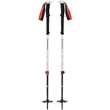 Black Diamond Expedition 2 Ski Poles, 145, BD11158900001451