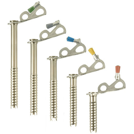Black Diamond Express Ice screws - 10 cm