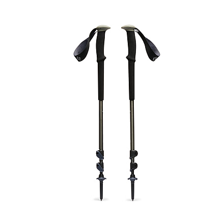 Black Diamond Trail Trekking Poles, Pine Smoke, One Size, BD1100453060ALL1