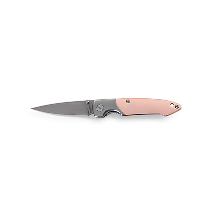 Brighten Blades Floyd Not So Heavy Metal Knife w/Case, 2.5in, 8Cr13MoV Stainless Steel, Drop Point, Gray, BB-127