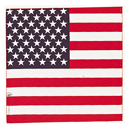 Carolina Manufacturing American Flag B22AME-000114