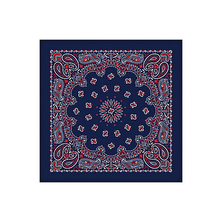 Carolina Manufacturing Bandana Paisley Terracotta B22PAI-000014