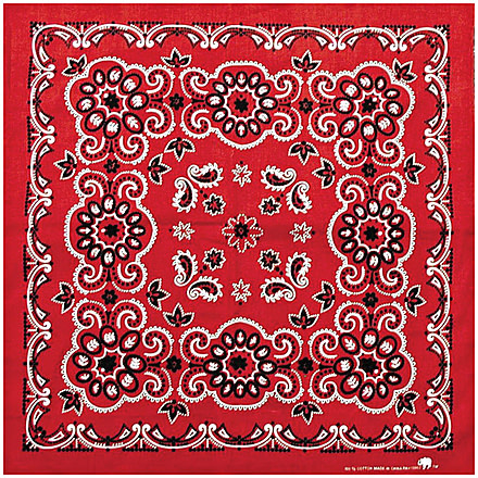 Carolina Manufacturing Texas Paisley Bandana Red B27PAI-100028