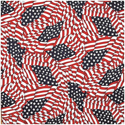 Carolina Manufacturing Tossed American Flag B22AME-000115