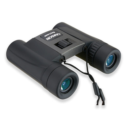 Carson 8x21mm Compact Binoculars, Black/Grey TM-821