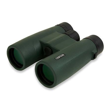 Carson JR Series 10x42mm Roof Prism Binocular, Green jr-042