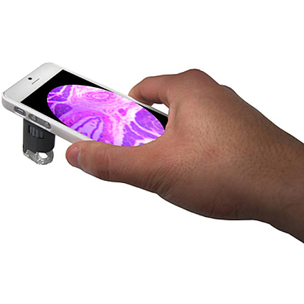 Carson MicroMaxPlus 2 LED Microscope w/ iPhone 5 Adapter, White MM-255