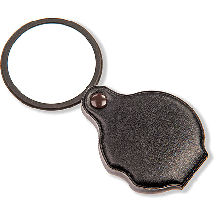Carson Slide-OpenGlass Magnifier 4x w/Attached Case, Black, Small, GN-11