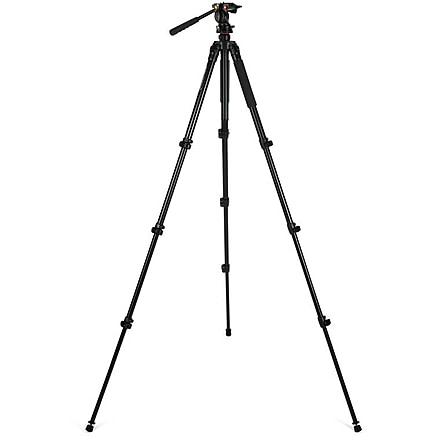 Celestron Regal Premium Adjustable Aluminum Tripod, Black 82052