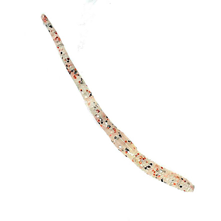 Chompers Drop Shot Worm, 1, 4in, Milky Sand, DS410-30
