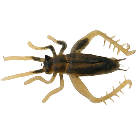 Creme Lures Small Brown Cricket 2/Pack, 5147-22